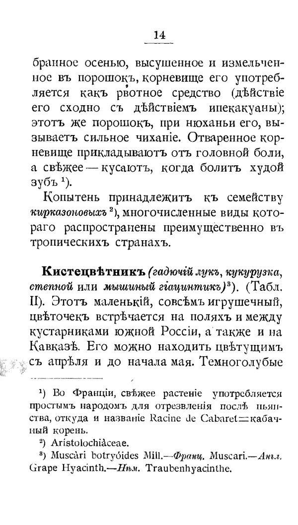 Дмитрий Кайгородов - Наши весенние цветы - Страница № 166