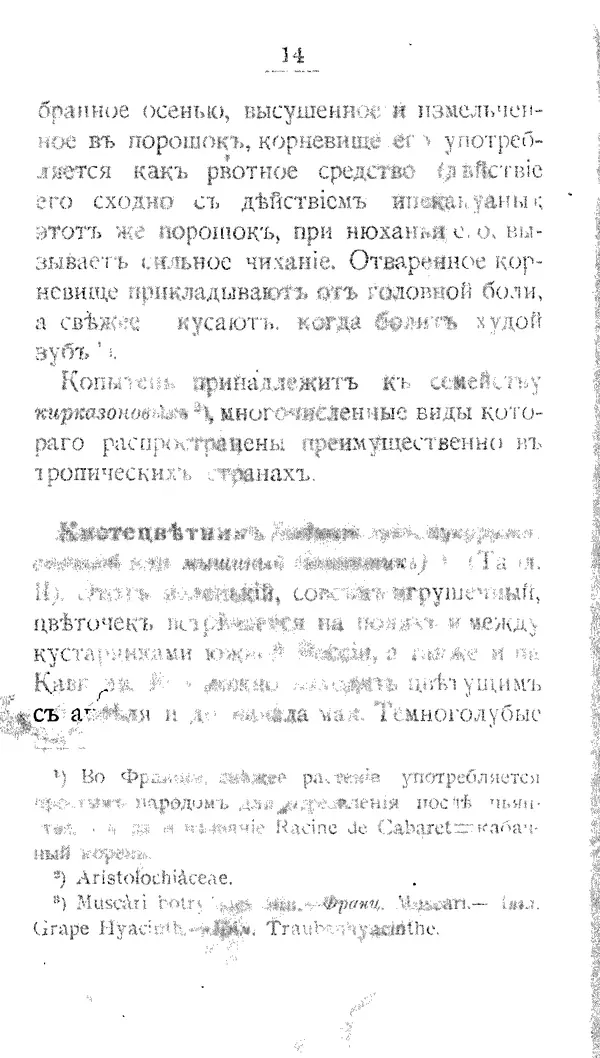 Дмитрий Кайгородов - Наши весенние цветы - Страница № 168