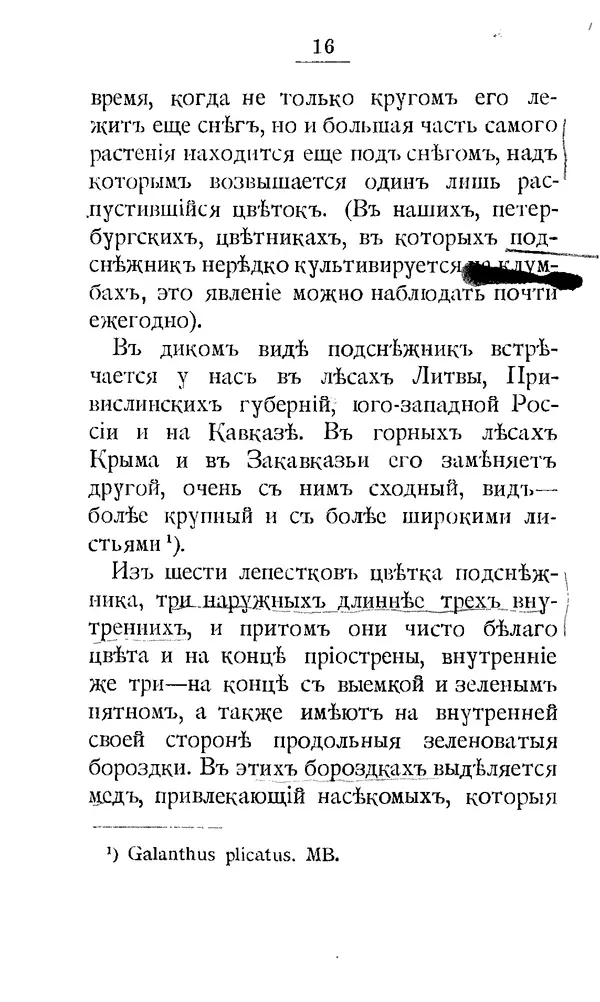 Дмитрий Кайгородов - Наши весенние цветы - Страница № 17