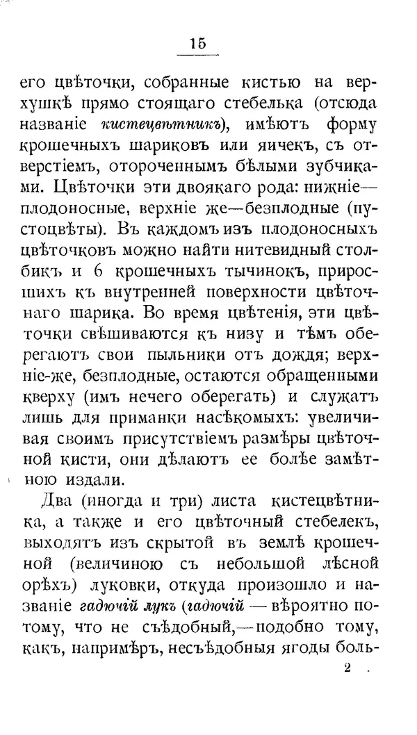 Дмитрий Кайгородов - Наши весенние цветы - Страница № 170