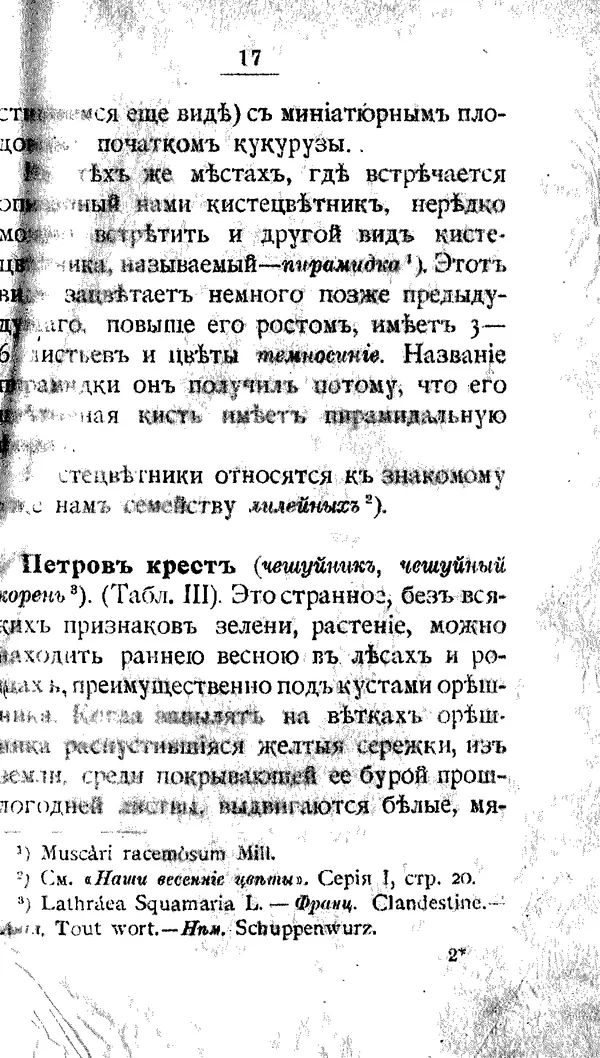 Дмитрий Кайгородов - Наши весенние цветы - Страница № 173