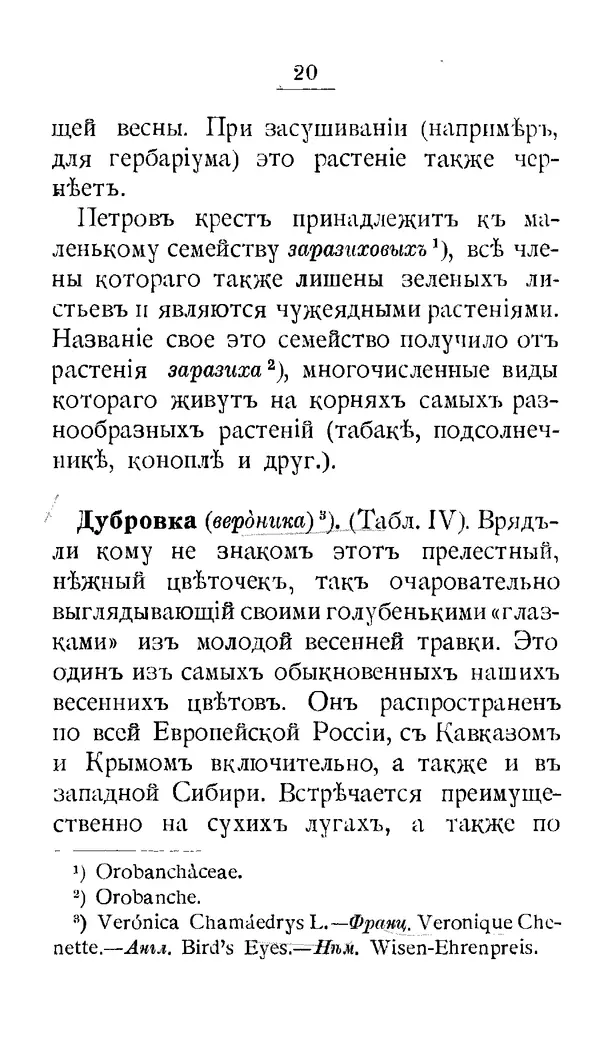 Дмитрий Кайгородов - Наши весенние цветы - Страница № 178
