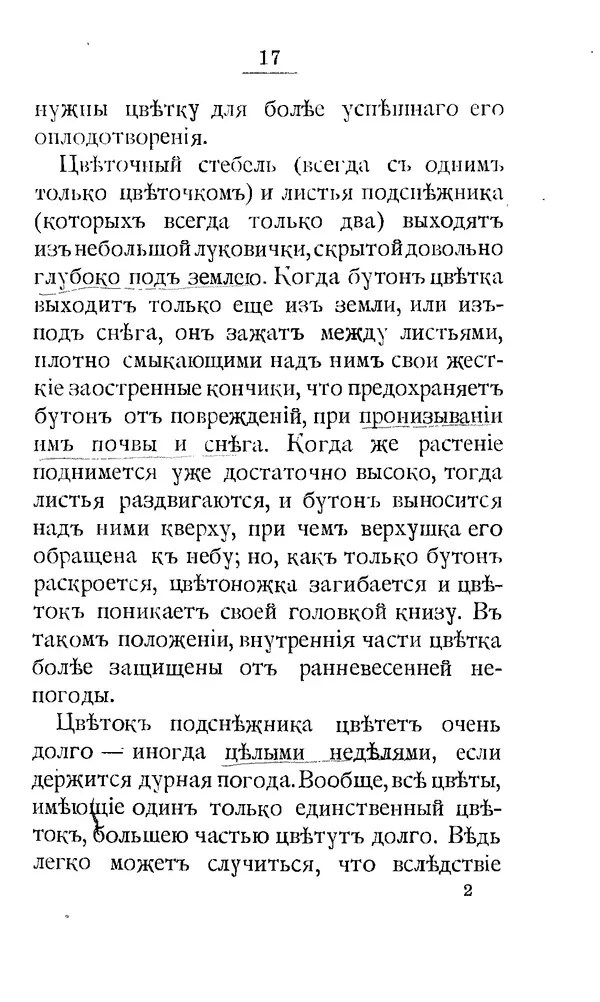 Дмитрий Кайгородов - Наши весенние цветы - Страница № 18