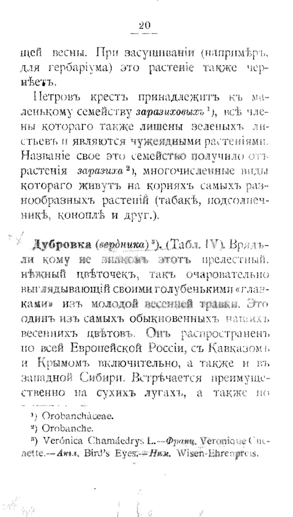 Дмитрий Кайгородов - Наши весенние цветы - Страница № 180