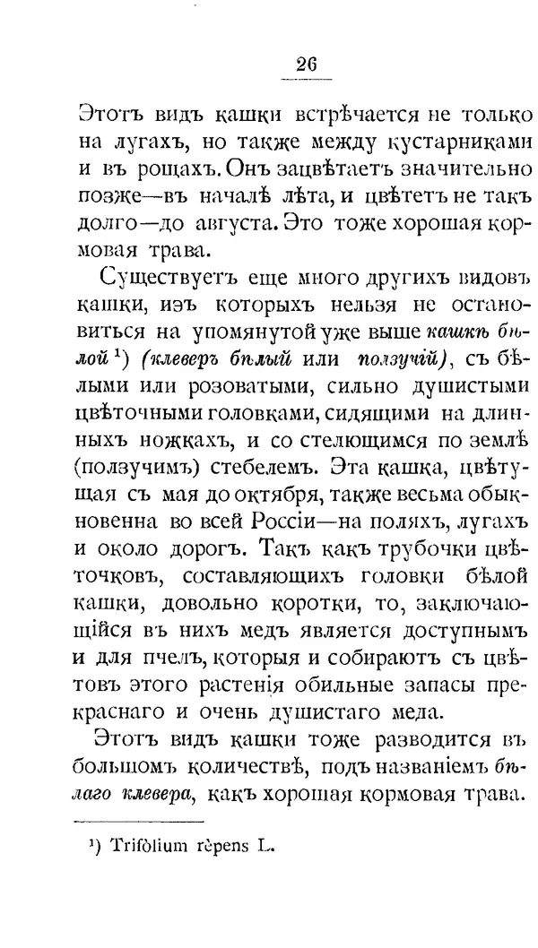 Дмитрий Кайгородов - Наши весенние цветы - Страница № 190