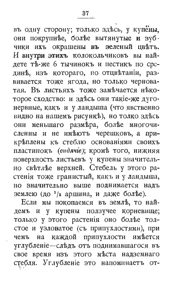 Дмитрий Кайгородов - Наши весенние цветы - Страница № 207