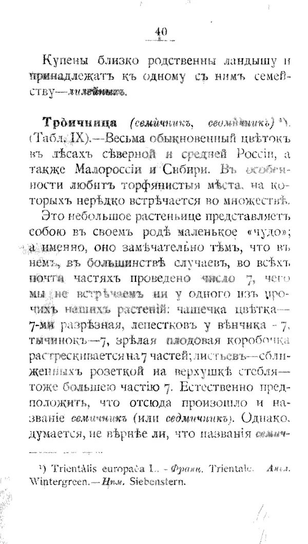 Дмитрий Кайгородов - Наши весенние цветы - Страница № 212