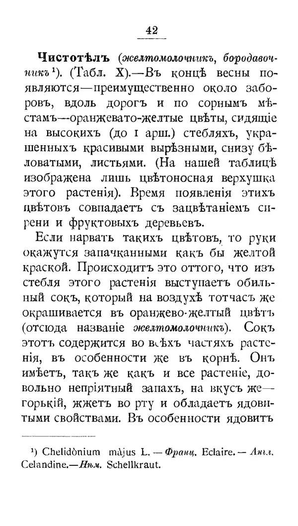 Дмитрий Кайгородов - Наши весенние цветы - Страница № 215