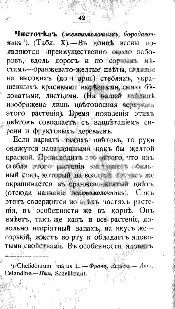 Дмитрий Кайгородов - Наши весенние цветы - Страница № 217