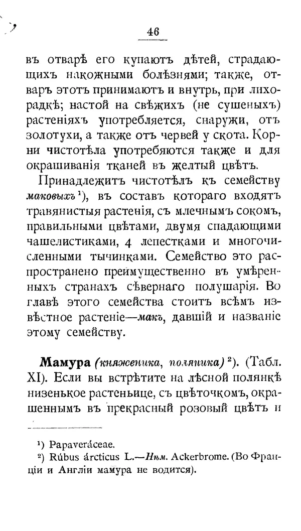 Дмитрий Кайгородов - Наши весенние цветы - Страница № 222