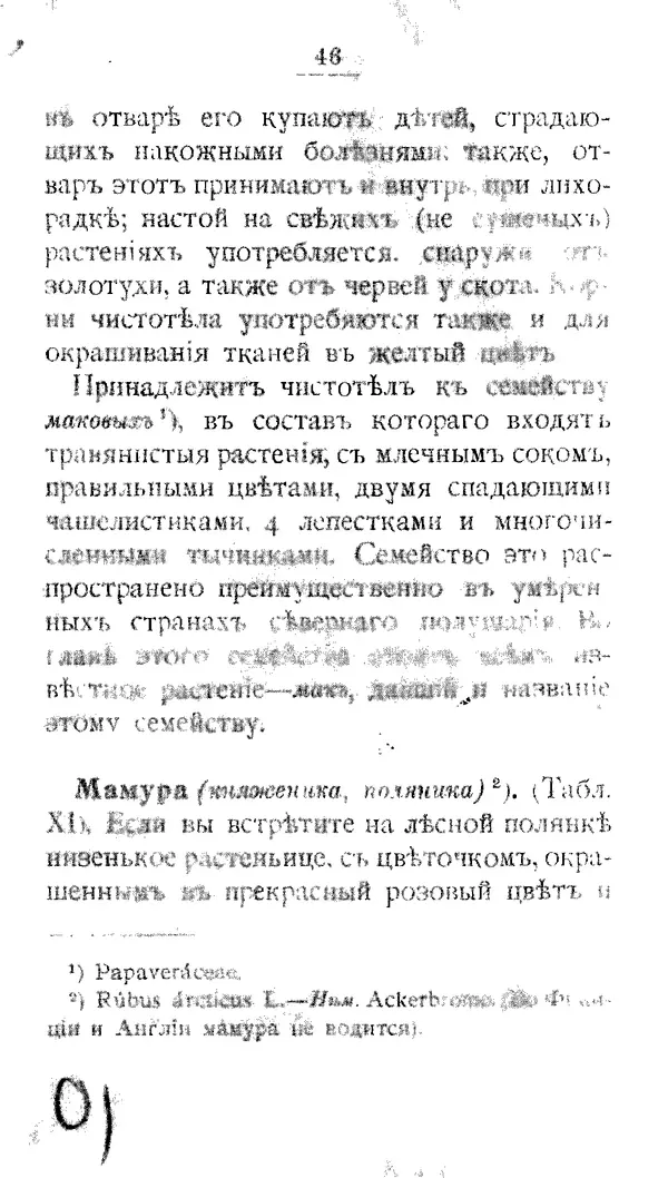 Дмитрий Кайгородов - Наши весенние цветы - Страница № 224