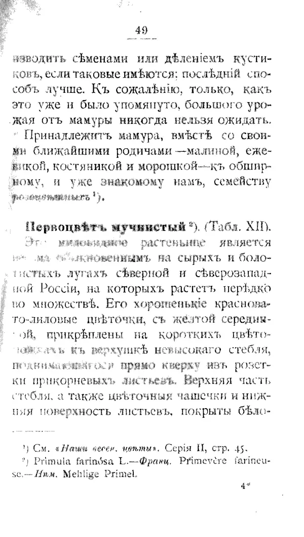 Дмитрий Кайгородов - Наши весенние цветы - Страница № 229