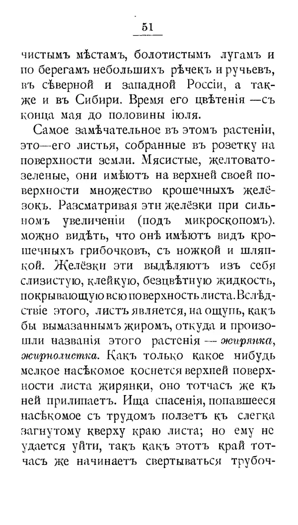 Дмитрий Кайгородов - Наши весенние цветы - Страница № 236