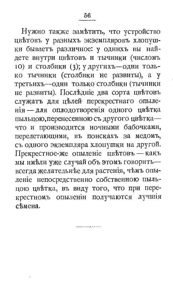 Дмитрий Кайгородов - Наши весенние цветы - Страница № 244