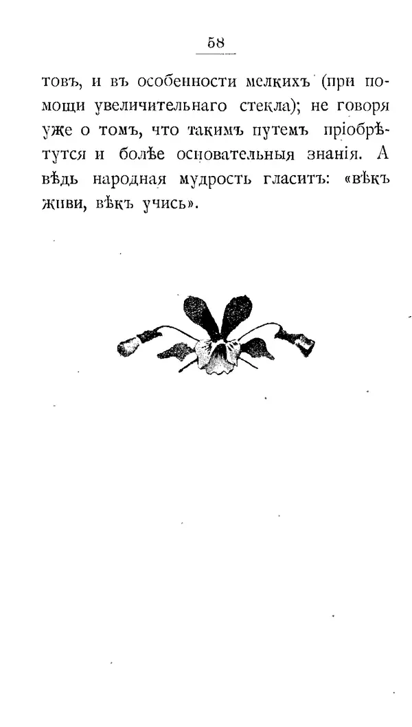 Дмитрий Кайгородов - Наши весенние цветы - Страница № 246