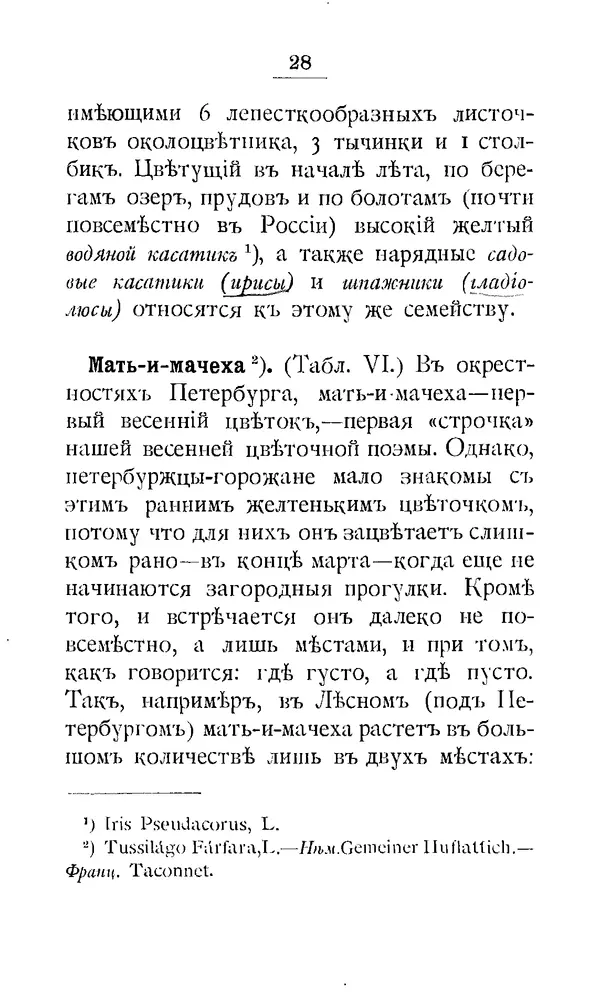 Дмитрий Кайгородов - Наши весенние цветы - Страница № 32