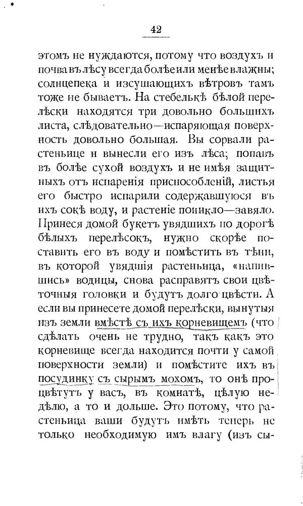 Дмитрий Кайгородов - Наши весенние цветы - Страница № 49