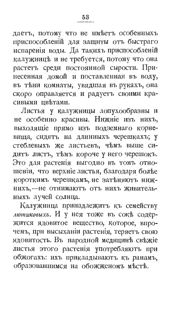 Дмитрий Кайгородов - Наши весенние цветы - Страница № 63