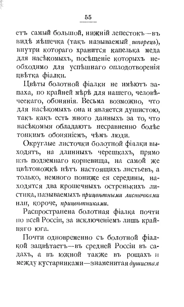 Дмитрий Кайгородов - Наши весенние цветы - Страница № 66