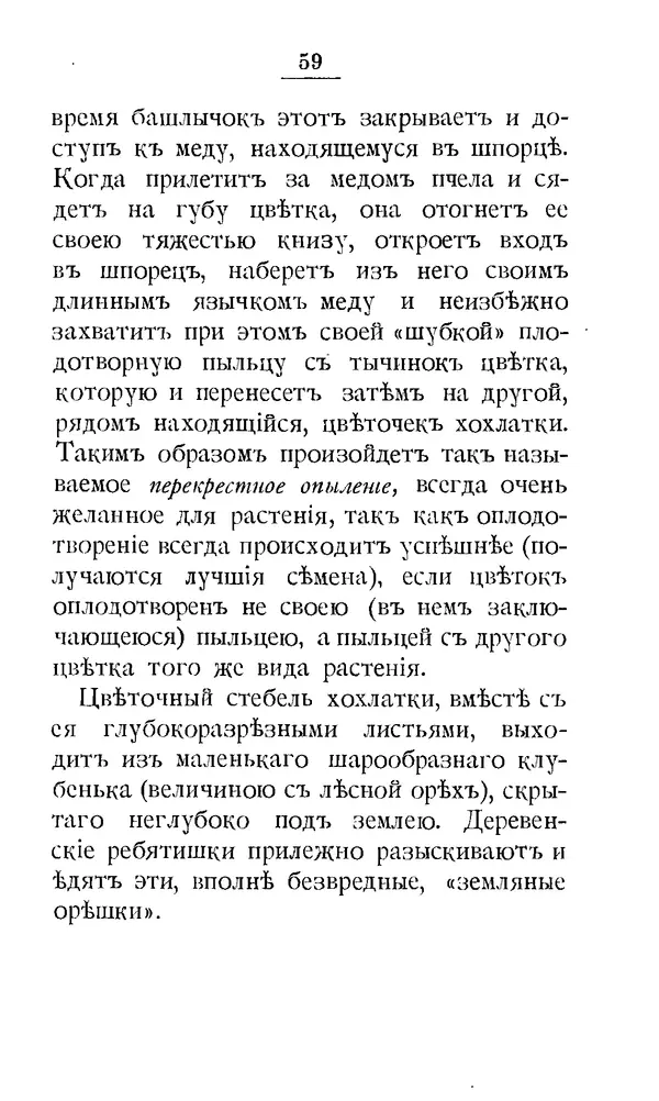 Дмитрий Кайгородов - Наши весенние цветы - Страница № 71