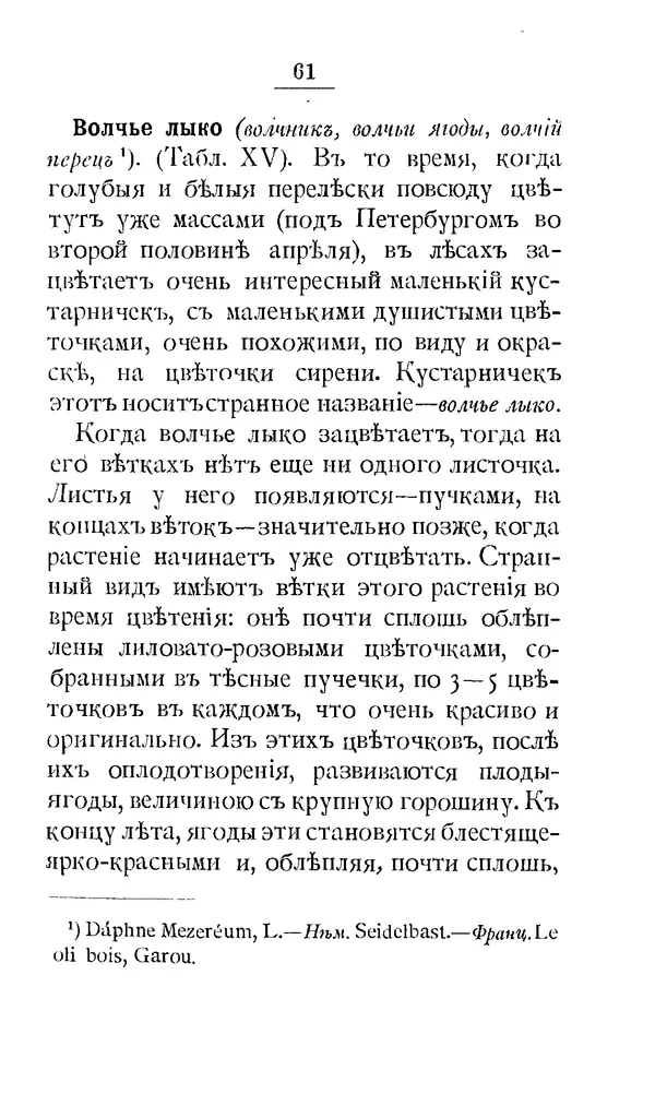 Дмитрий Кайгородов - Наши весенние цветы - Страница № 73