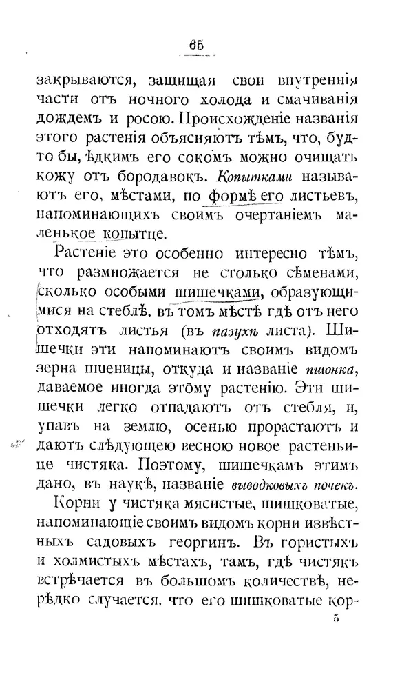 Дмитрий Кайгородов - Наши весенние цветы - Страница № 79