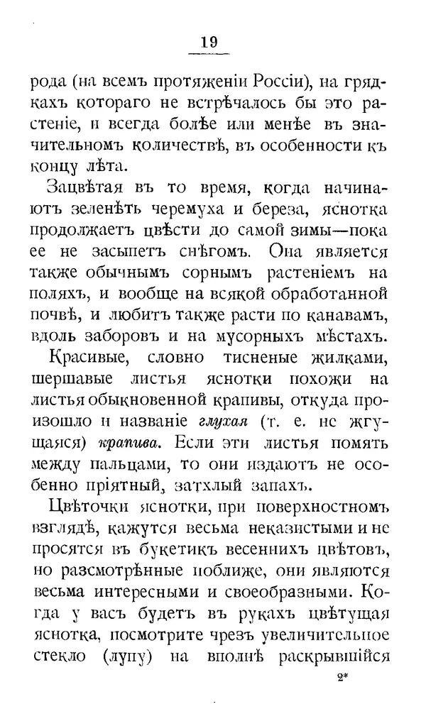 Дмитрий Кайгородов - Наши весенние цветы - Страница № 99