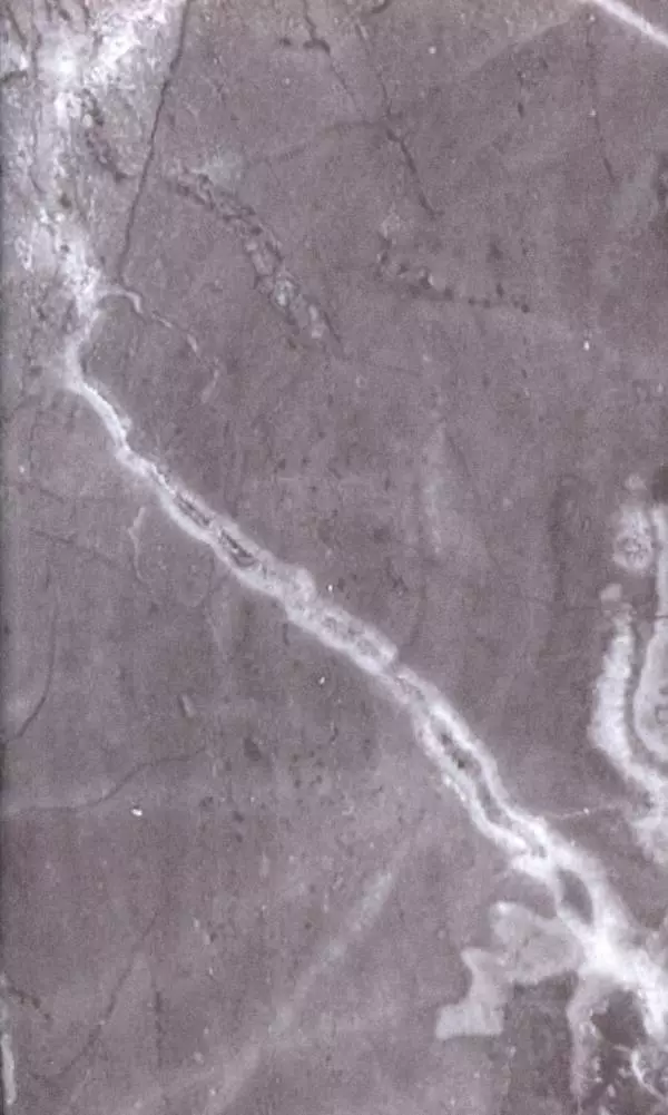 Николай Муравьев-Карсский - Возвращение с Кавказа 1855-1856. Две поездки в Петербург 1863 - Страница № 2