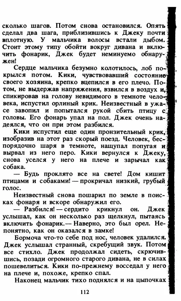 Энид Блайтон - Тайна орлиного гнезда - Страница № 113