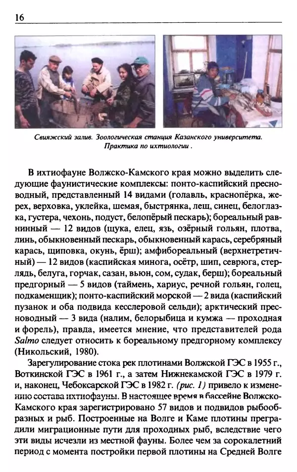 В. Кузнецов - Рыбы Волжко-Камского края - Страница № 17