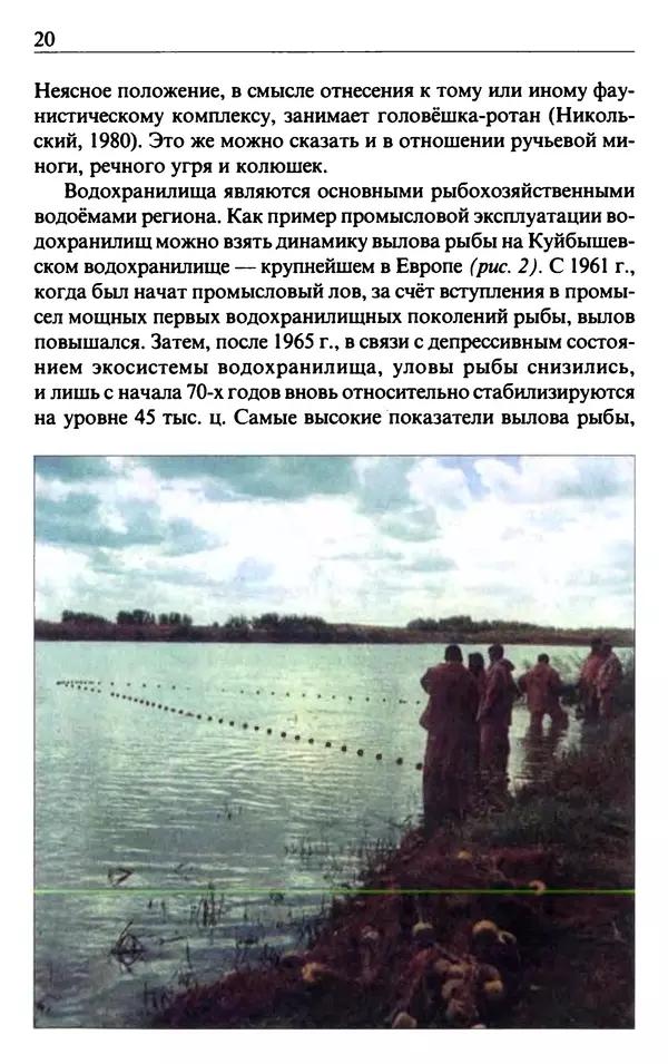 В. Кузнецов - Рыбы Волжко-Камского края - Страница № 21