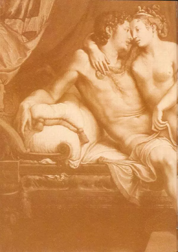 Пьетро Аретино - Любовные позиции эпохи Возрождения  - Страница № 123