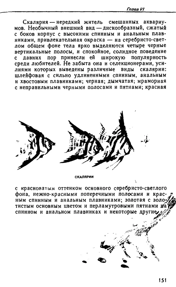 Семен Глейзер - Необычный аквариум - Страница № 157