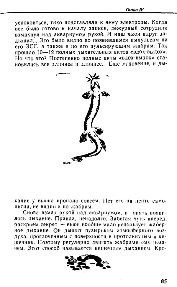 Семен Глейзер - Необычный аквариум - Страница № 93