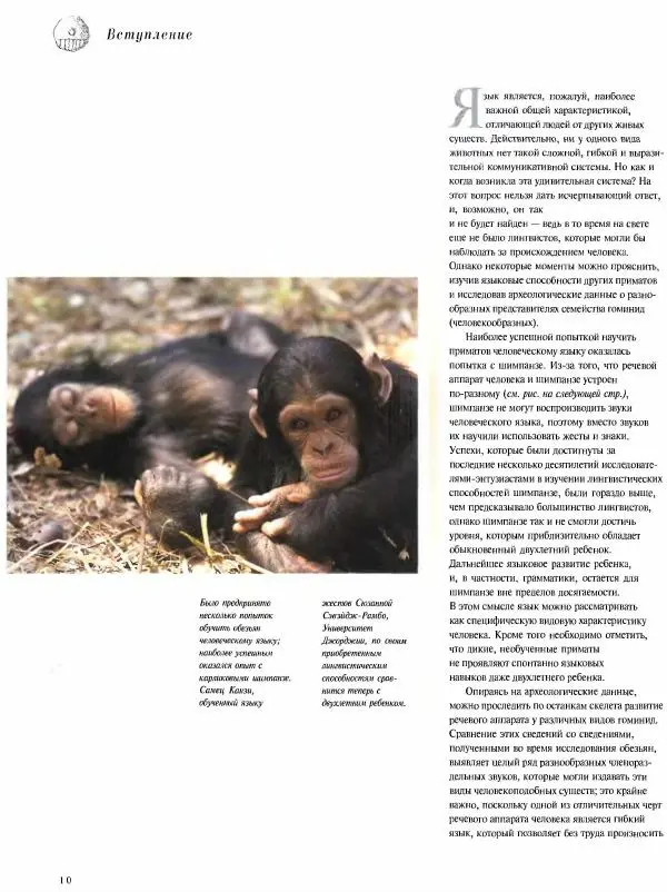  Коллектив авторов - Атлас языков мира - Страница № 10