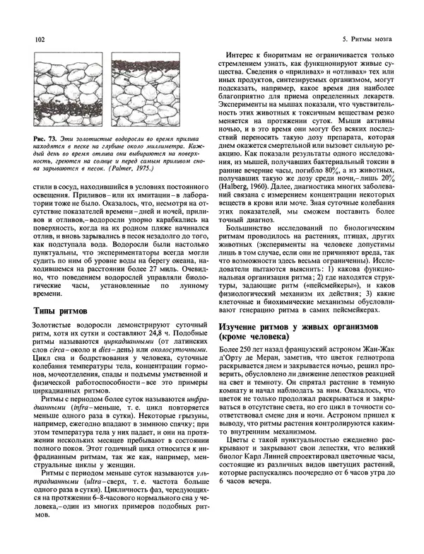Флойд Блум - Мозг, разум и поведение - Страница № 103
