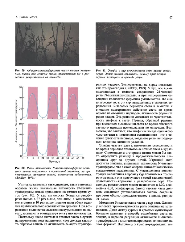 Флойд Блум - Мозг, разум и поведение - Страница № 108