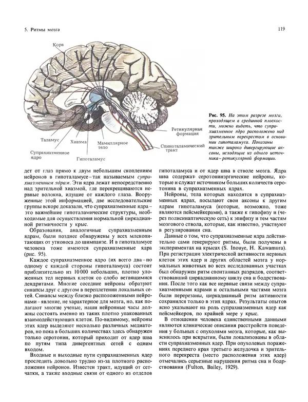 Флойд Блум - Мозг, разум и поведение - Страница № 120