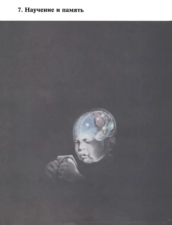 Флойд Блум - Мозг, разум и поведение - Страница № 151