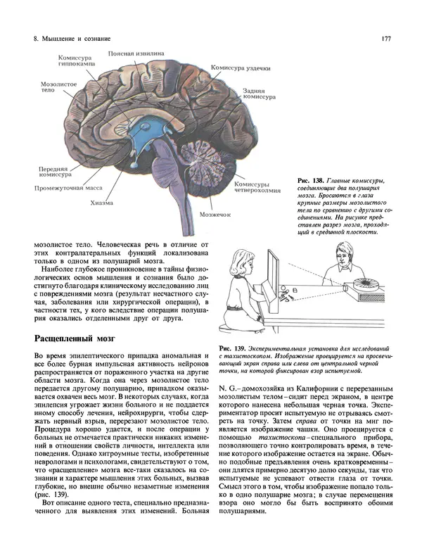 Флойд Блум - Мозг, разум и поведение - Страница № 178