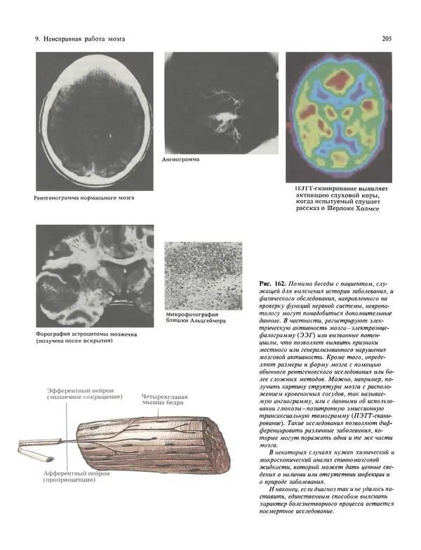 Флойд Блум - Мозг, разум и поведение - Страница № 206