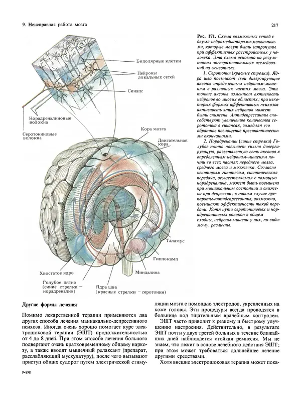 Флойд Блум - Мозг, разум и поведение - Страница № 218