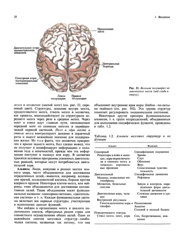 Флойд Блум - Мозг, разум и поведение - Страница № 29