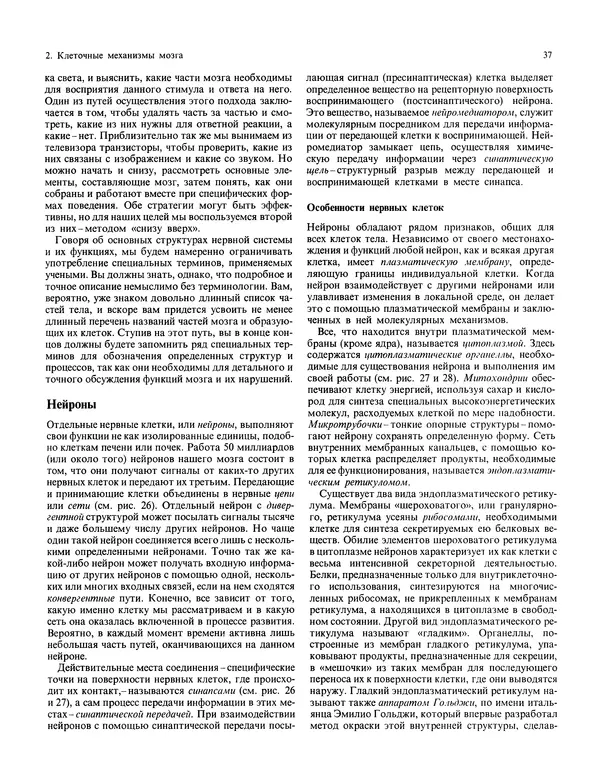 Флойд Блум - Мозг, разум и поведение - Страница № 38