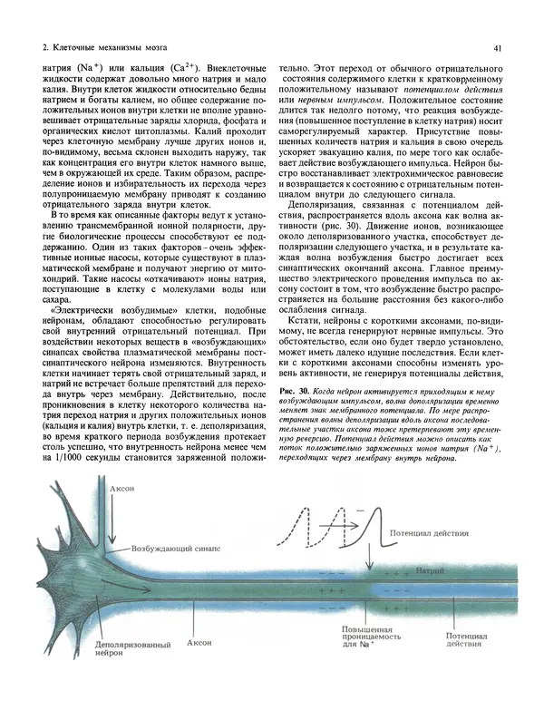 Флойд Блум - Мозг, разум и поведение - Страница № 42