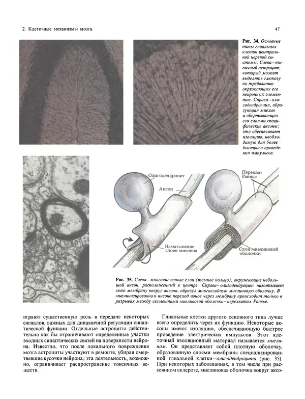Флойд Блум - Мозг, разум и поведение - Страница № 48