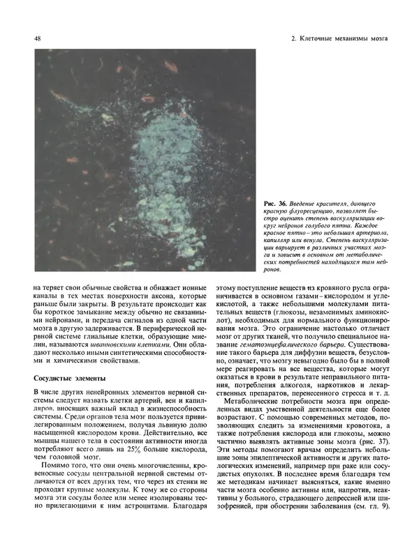 Флойд Блум - Мозг, разум и поведение - Страница № 49