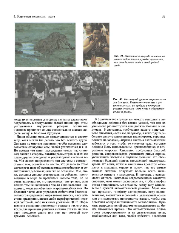 Флойд Блум - Мозг, разум и поведение - Страница № 52