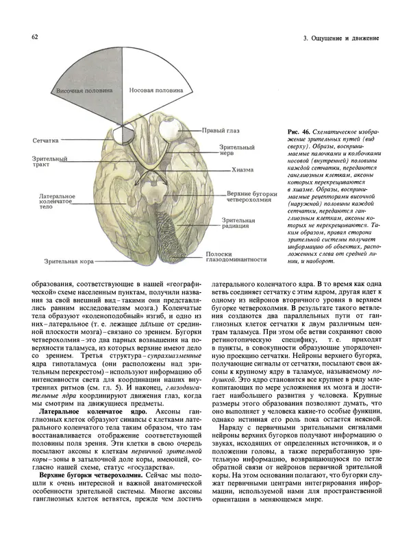 Флойд Блум - Мозг, разум и поведение - Страница № 63