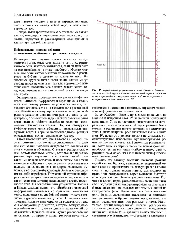 Флойд Блум - Мозг, разум и поведение - Страница № 66